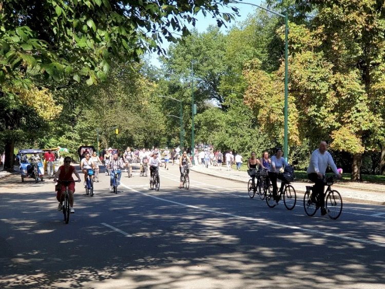 Descubra os Eventos Mais Esperados de Abril em Nova Iorque: Cultura, Esporte e Diversão Garantida!